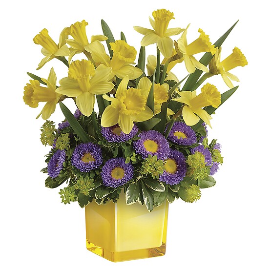  Playful Springtime Daffodil Bouquet