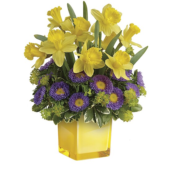  Playful Springtime Daffodil Bouquet