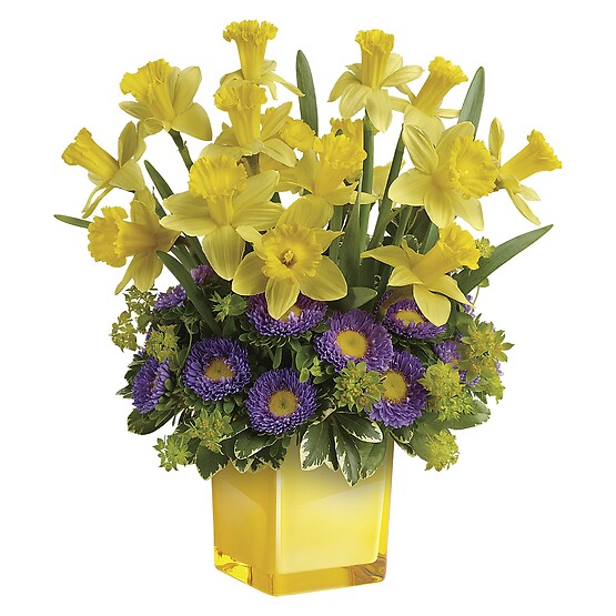  Playful Springtime Daffodil Bouquet